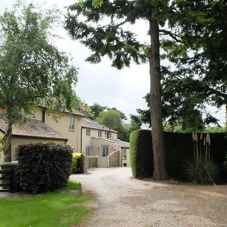 Pippin Heath House B&B โฮลท์ ภายนอก รูปภาพ